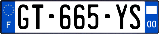 GT-665-YS