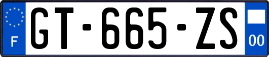 GT-665-ZS