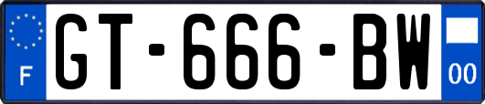 GT-666-BW