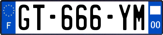 GT-666-YM