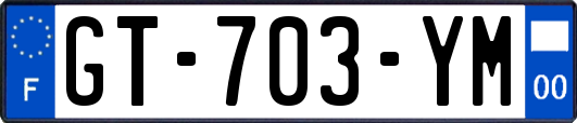 GT-703-YM