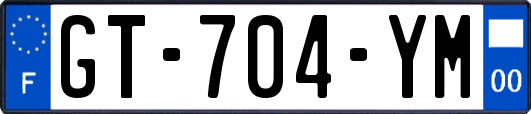 GT-704-YM