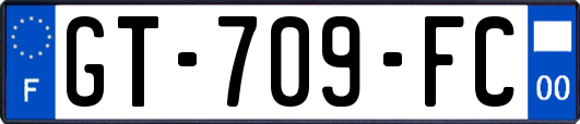 GT-709-FC