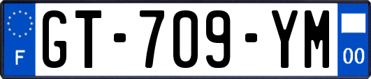 GT-709-YM
