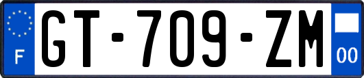 GT-709-ZM