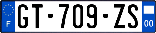 GT-709-ZS