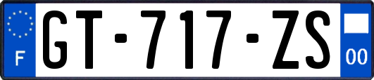 GT-717-ZS