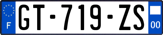 GT-719-ZS