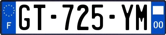 GT-725-YM