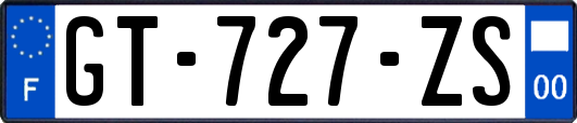 GT-727-ZS