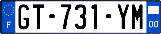 GT-731-YM