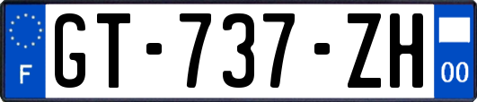 GT-737-ZH