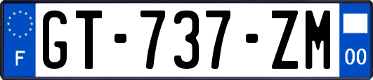 GT-737-ZM