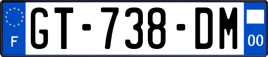 GT-738-DM