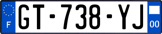 GT-738-YJ