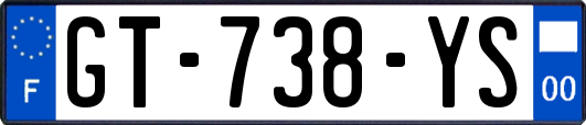 GT-738-YS