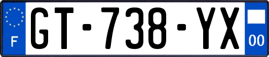 GT-738-YX