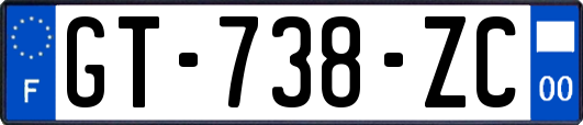 GT-738-ZC