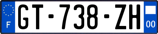 GT-738-ZH