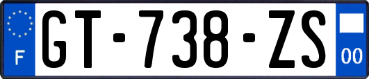 GT-738-ZS