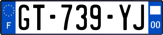 GT-739-YJ