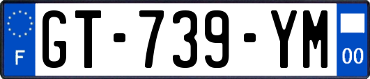 GT-739-YM