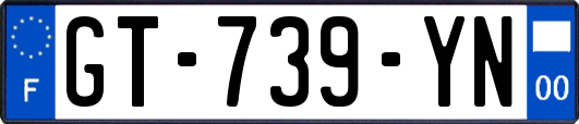 GT-739-YN