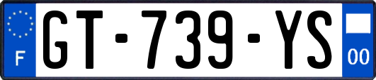GT-739-YS