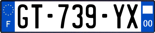 GT-739-YX