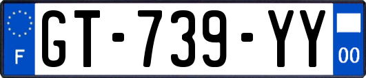 GT-739-YY