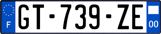 GT-739-ZE