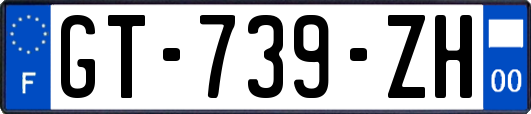 GT-739-ZH