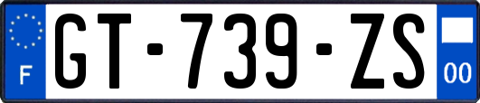 GT-739-ZS