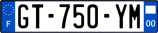 GT-750-YM