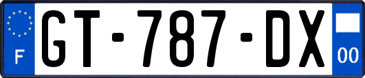 GT-787-DX