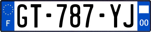 GT-787-YJ