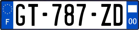 GT-787-ZD