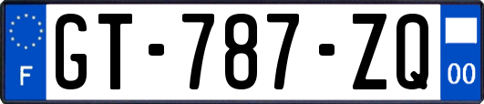 GT-787-ZQ