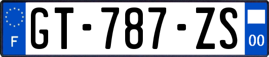 GT-787-ZS