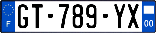 GT-789-YX