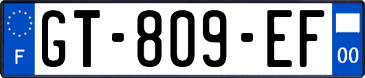 GT-809-EF