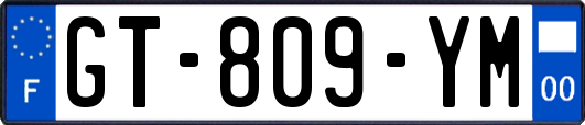 GT-809-YM