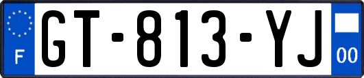 GT-813-YJ