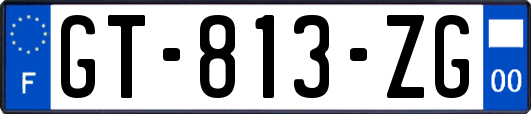 GT-813-ZG