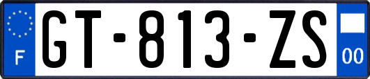 GT-813-ZS