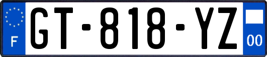 GT-818-YZ