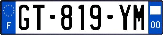 GT-819-YM