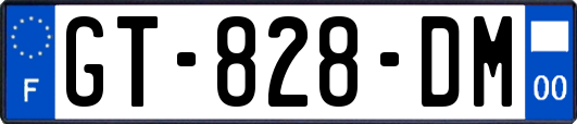 GT-828-DM