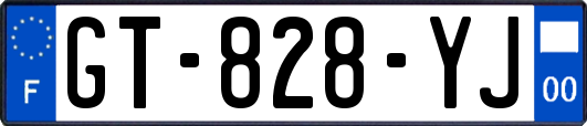 GT-828-YJ