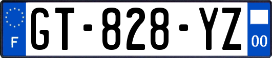 GT-828-YZ
